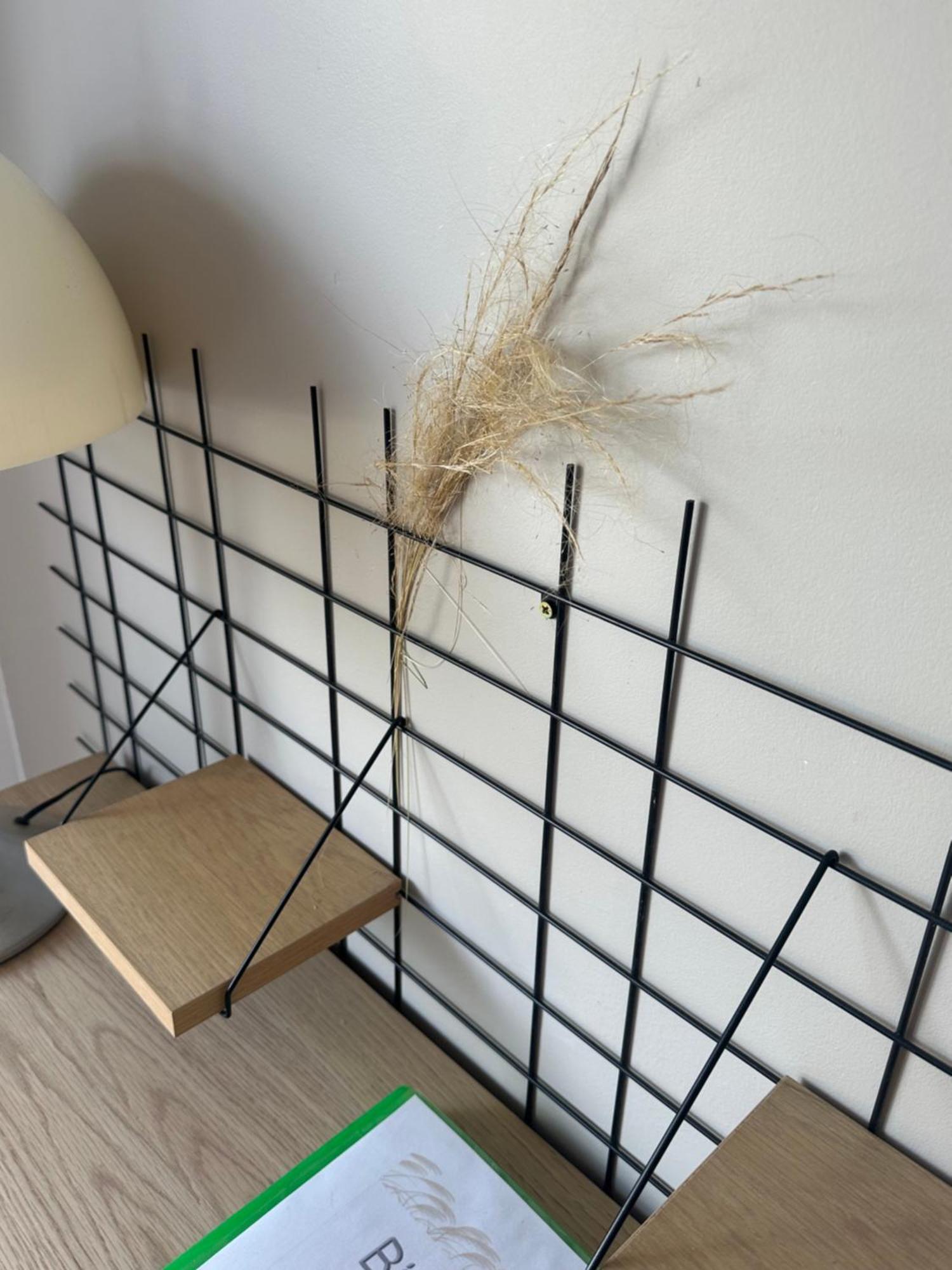 Appart Miscanthus Calme Et Cosy Apartment Lorient Exterior photo